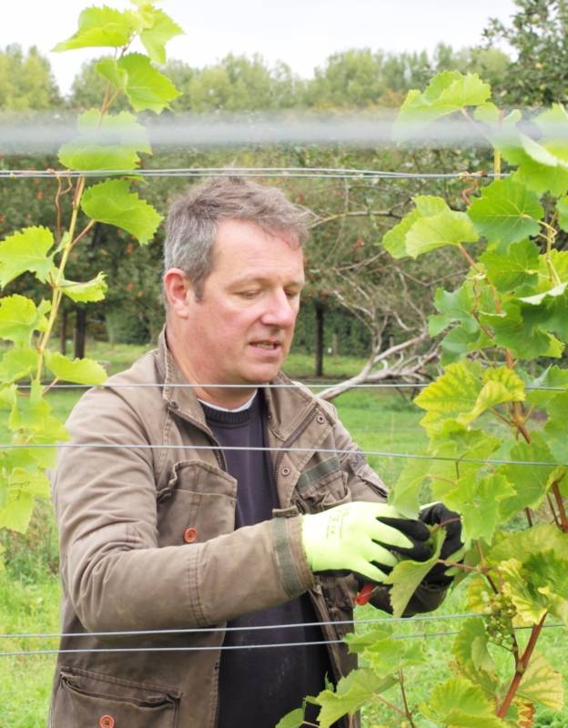 Laurent Demarque Vigneron