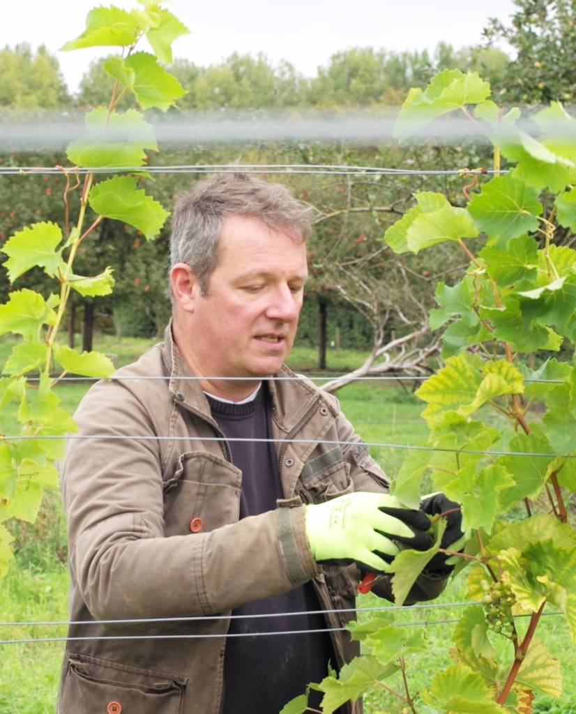 Laurent Demarque vigneron