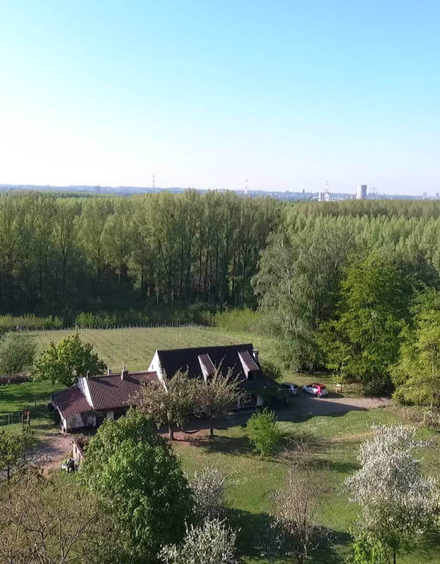 Présentation du domaine du Krayenberg