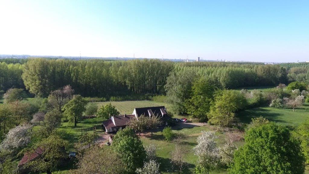 Vue du domaine de Krayenberg à Beersel